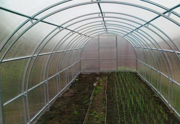 теплицы под поликарбонат купить